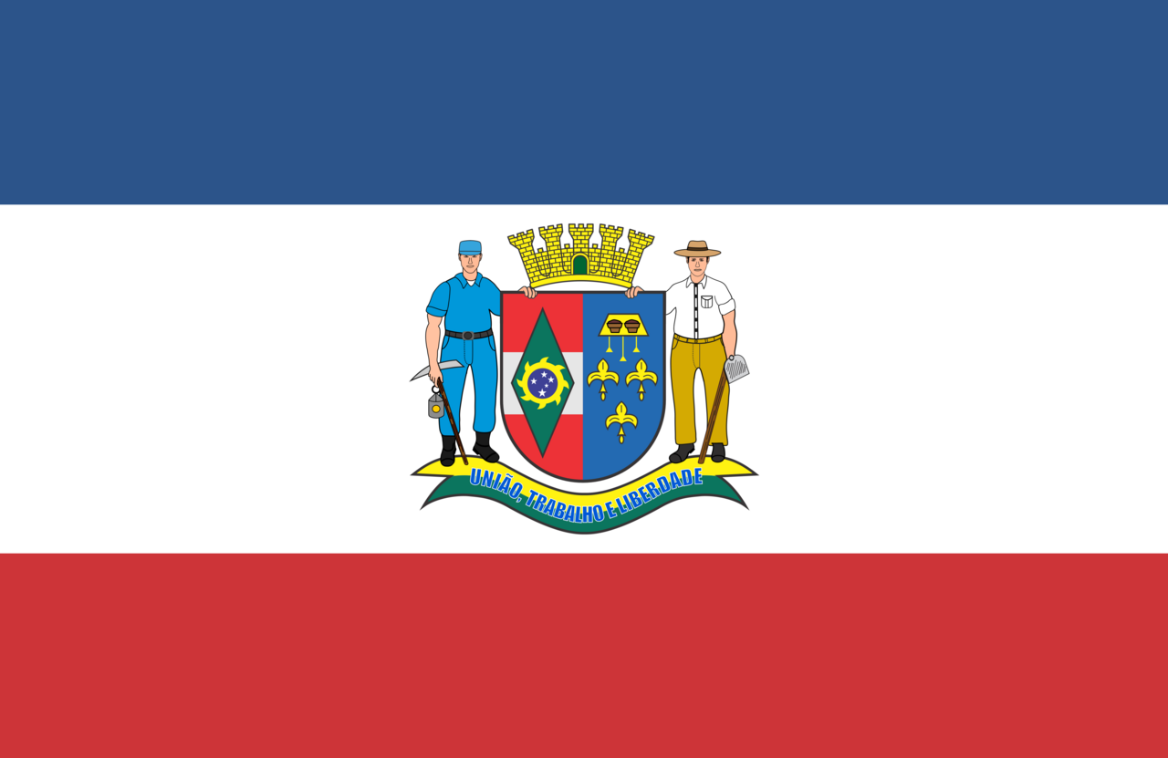Bandeira de Orleans